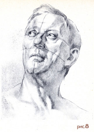 Рисование портрета человека. Рисуем голову. Рисунок 8.